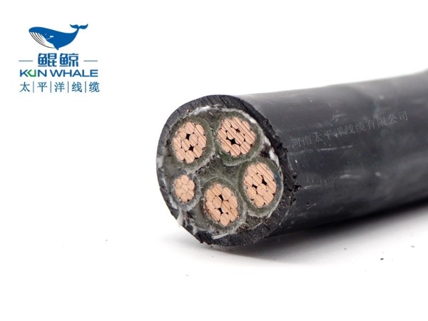 低煙無鹵電纜應(yīng)用在哪些場(chǎng)所你知道嗎？